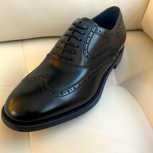 Salvatore Ferragamo Men’s Senesio Lace-ups 8.5EE (wide)